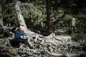 a person sitting on some tree roots near a hiking trail with a sketchbook in hand